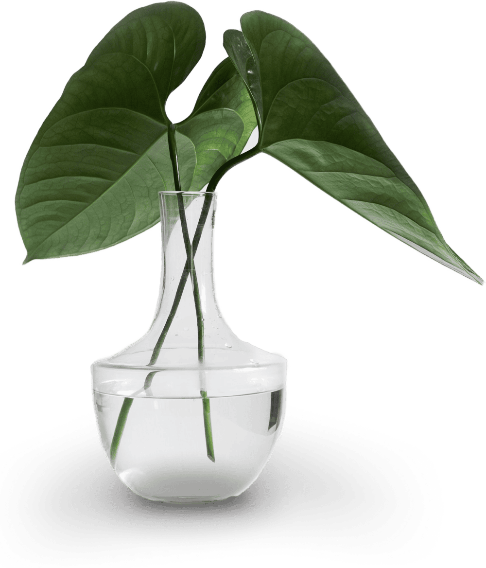vase